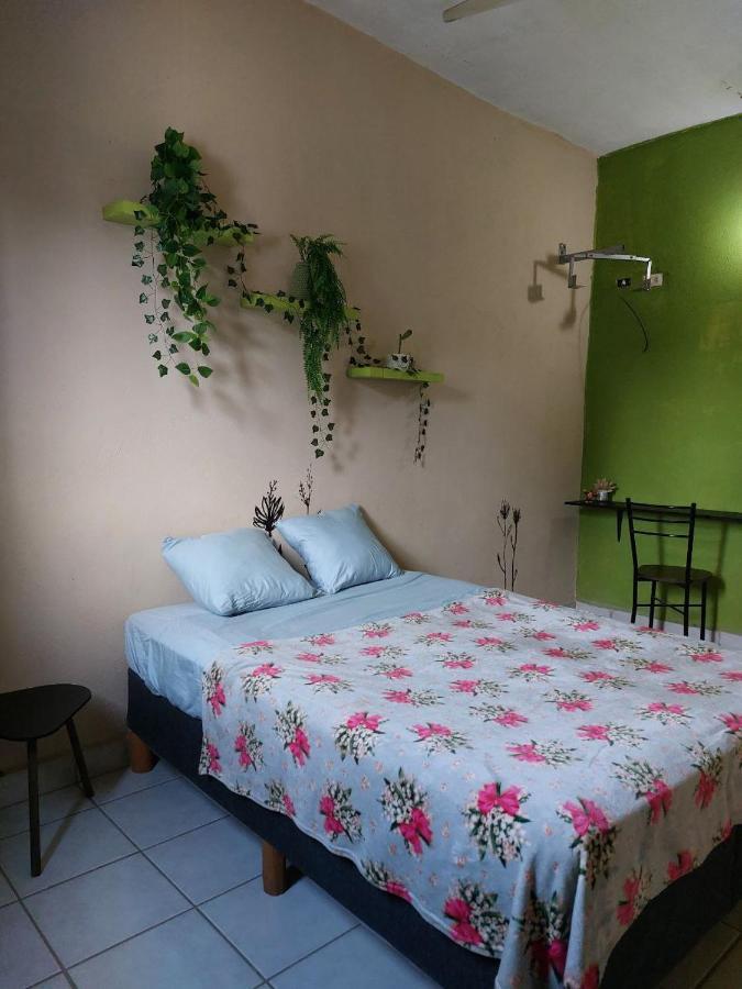 Cho Ku Rei Hostal San José del Cabo Kültér fotó