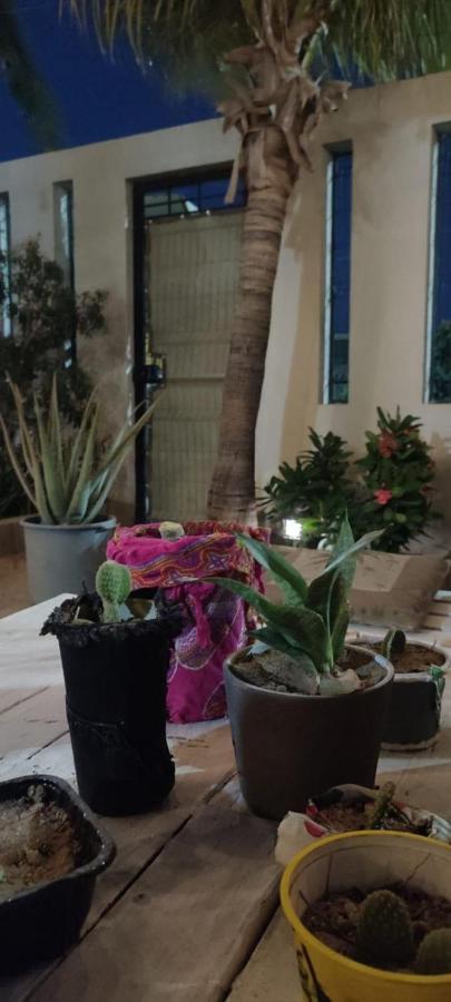 Cho Ku Rei Hostal San José del Cabo Kültér fotó