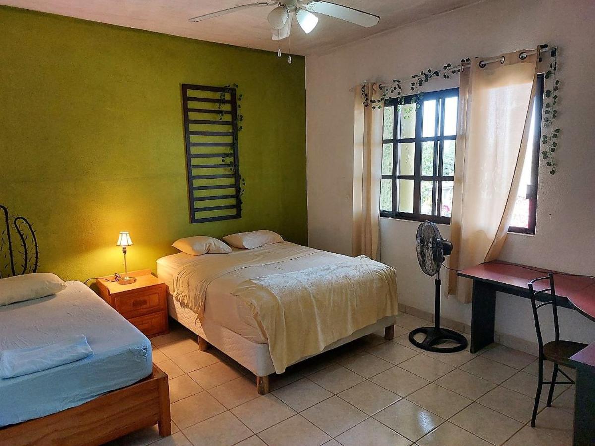 Cho Ku Rei Hostal San José del Cabo Kültér fotó